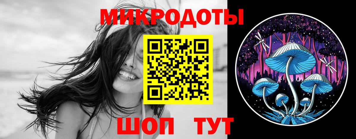 Псилоцибиновые грибы Psilocybine cubensis Кыштым