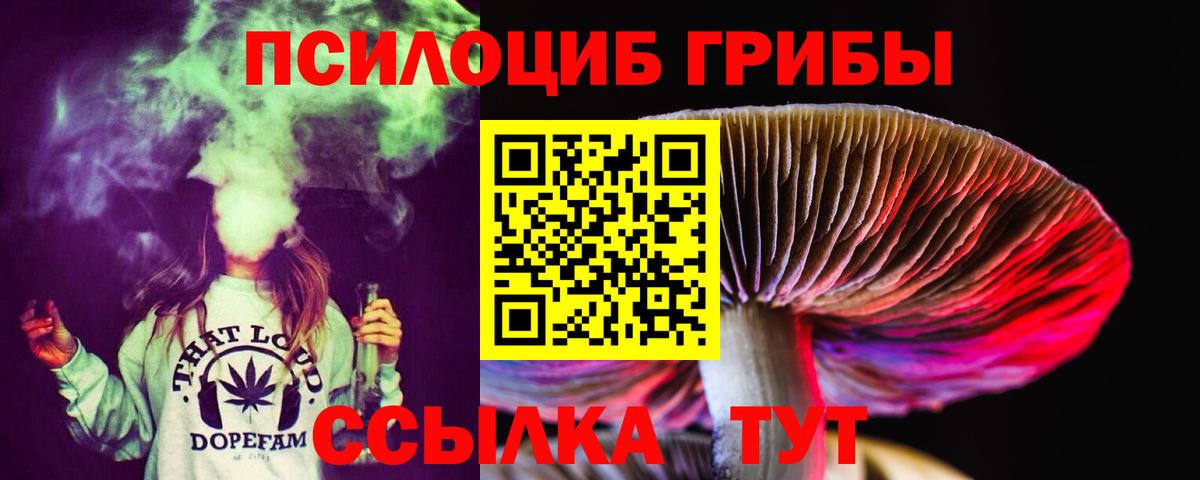 Кыштым  Псилоцибиновые грибы Magic Shrooms  Вход с VPN  Галлюциногенные грибы прущие грибы 